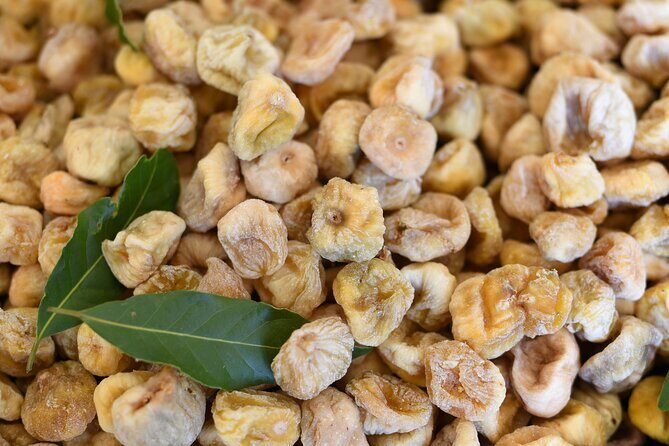 3-Hour Zadar Food Tasting Tour - Narodni TRG Olive Oil Tastings: Dalmatia’s Daily Foundation