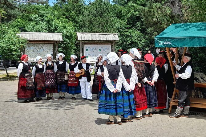 Day Tour To Plitvice Lakes From Zadar - Who this Plitvice day trip fits best
