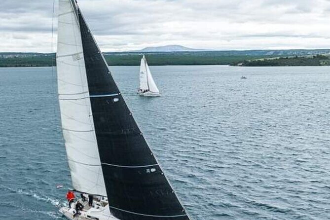 Daysailing & SUP experience - Olive Island Marina lunch break: don’t assume it’s fully covered