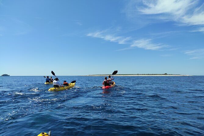 Dugi Otok - half day kayak adventure - Snorkeling on this tour: gear is included, and it changes the pace