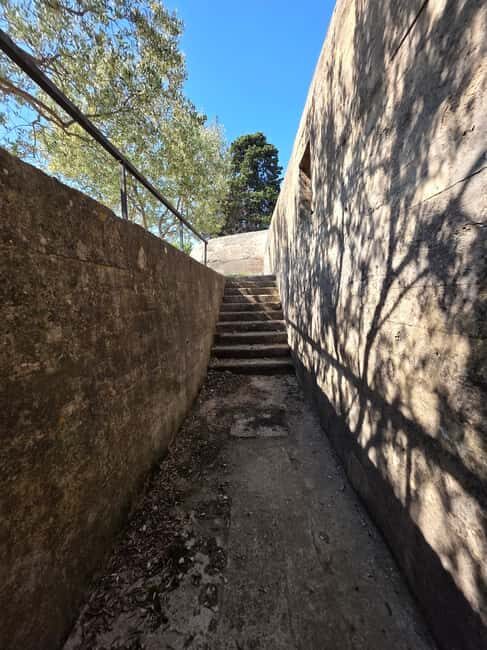 Eco tuk tuk Highlights of Zadar - Small group of 4 and private drive: why that pace feels right