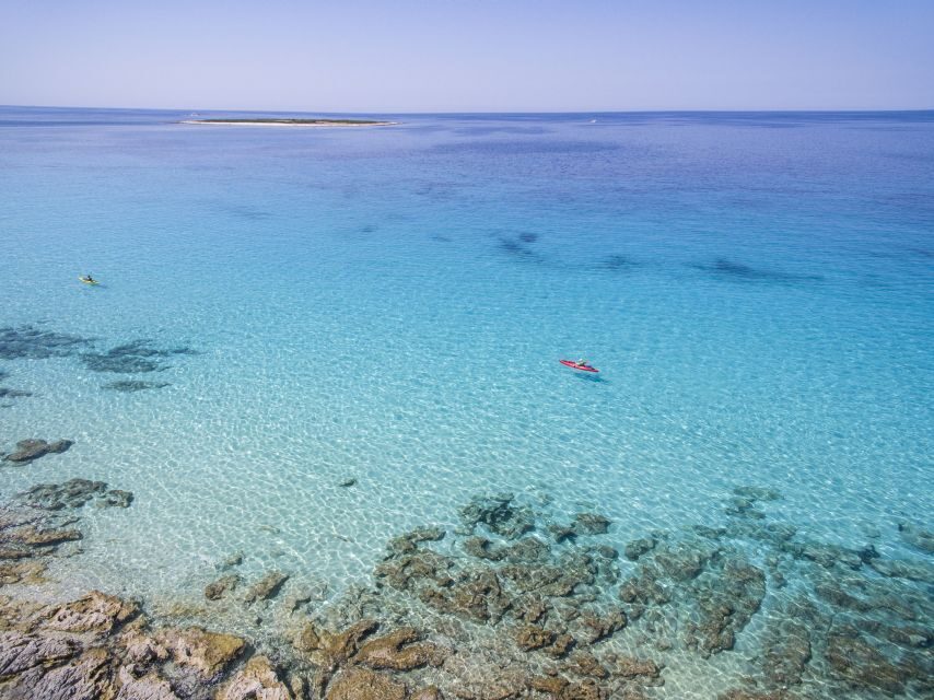 From Zadar: Dugi Otok Half-Day Kayak Adventure - Key Things You’ll Remember on Dugi Otok