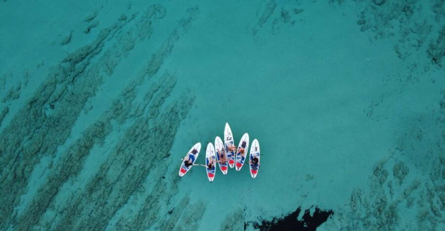 From Zadar: Full Day Dugi Otok Guided Paddle Board Tour - Key highlights at a glance