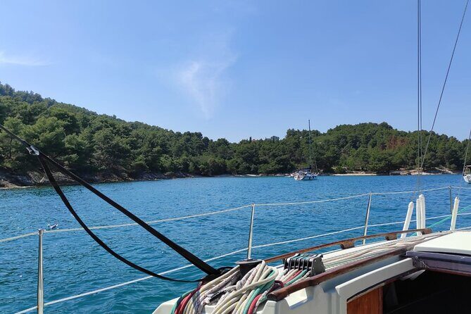 From Zadar: Half day sailing tour - Quick Key Points Before You Book