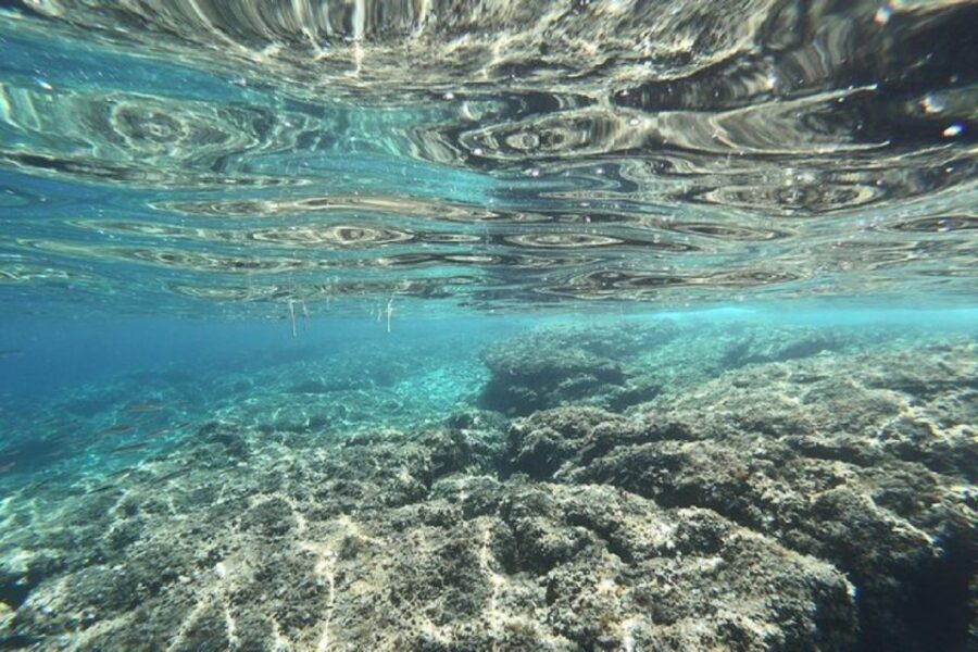 From Zadar: Half/Full Day Sailing Tour - Half-Day sailing: 09:00–13:00 or 14:00–18:00