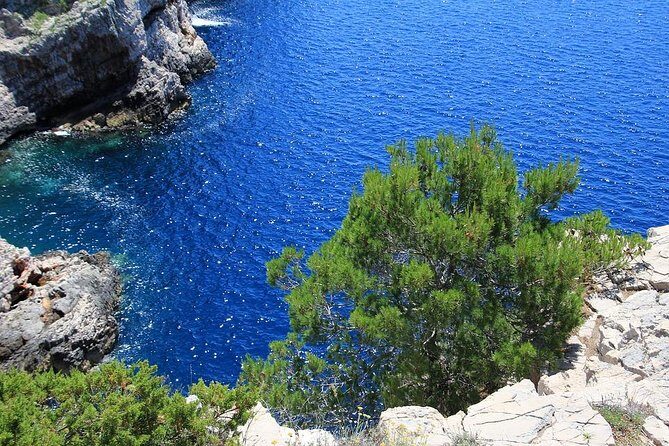 From Zadar: Kornati National Park Day Trip with Breakfast & Lunch - Meals and Drinks: Good Value, but Know What’s Included