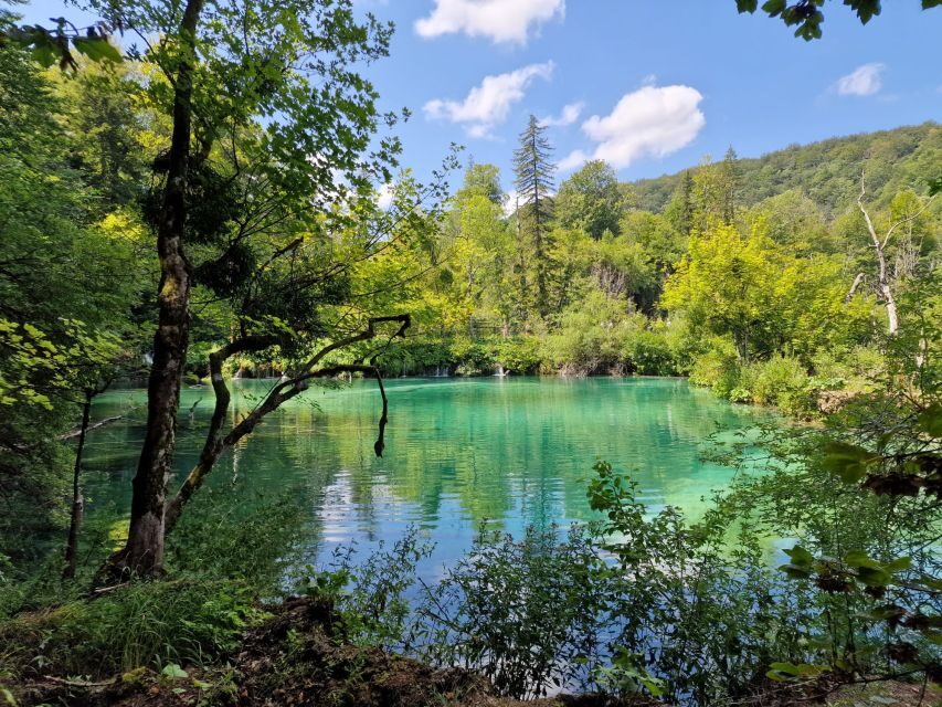 From Zadar: Krka Waterfalls Tour with Panoramic Boat Ride - The Krka boat ride: where the scenery hits differently