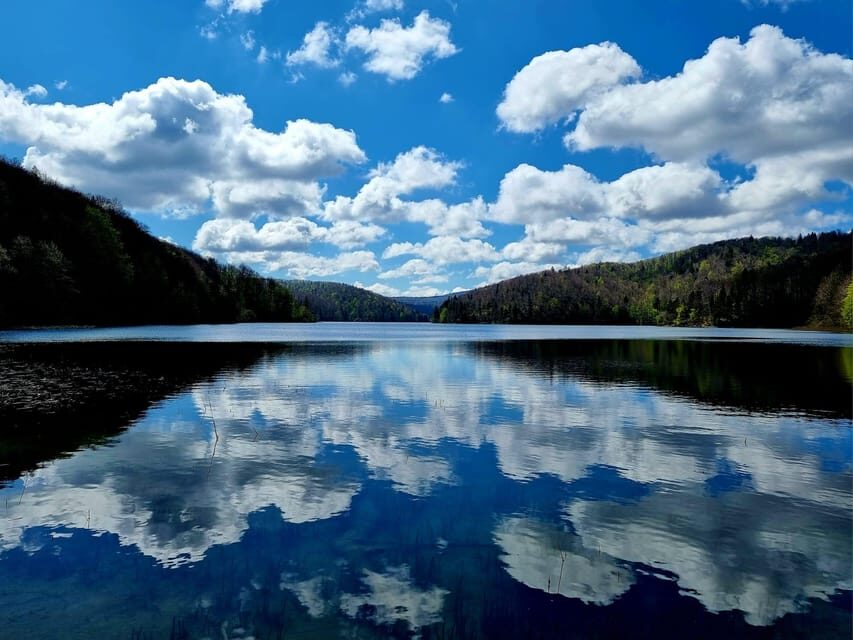 From Zadar: Plitvice Lakes Day Tour - Price and value: why this tour can be worth it from Zadar