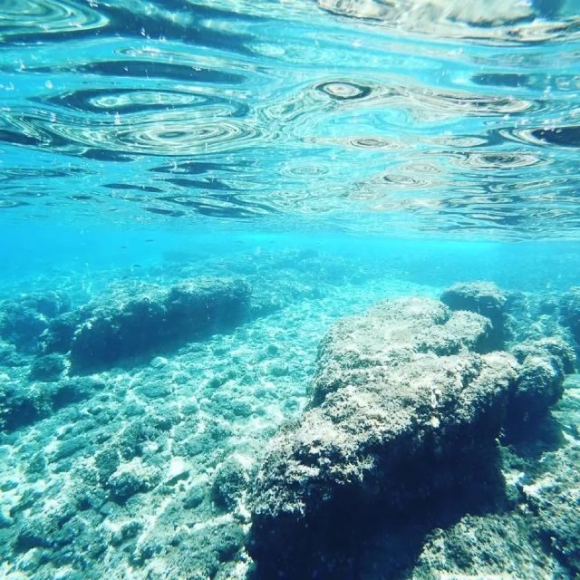 From Zadar: Private Half Day Sailing Tour - Sailing Toward Ugljan and Ošljak: Views You Can’t Replicate From Shore