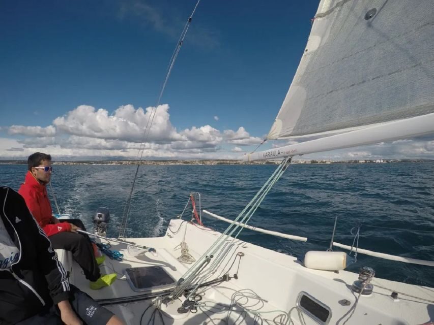 From Zadar: Private Half Day Sailing Tour - What’s Included vs. Not: The Parts You’ll Actually Feel