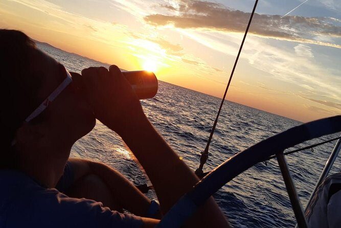 From Zadar: Private sunset sailing tour - Your private sailboat setup: Elan331 and group size