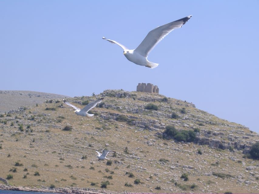 Full-day boat trip from Zadar and Sukošan to Kornati NP - Kukljica on Ugljan: a short land break with fishing-craft charm