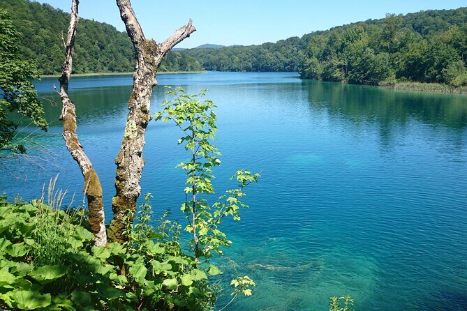Guided Day Tour from Zadar to Plitvice Lakes - Should You Book This Zadar to Plitvice Guided Day Tour?