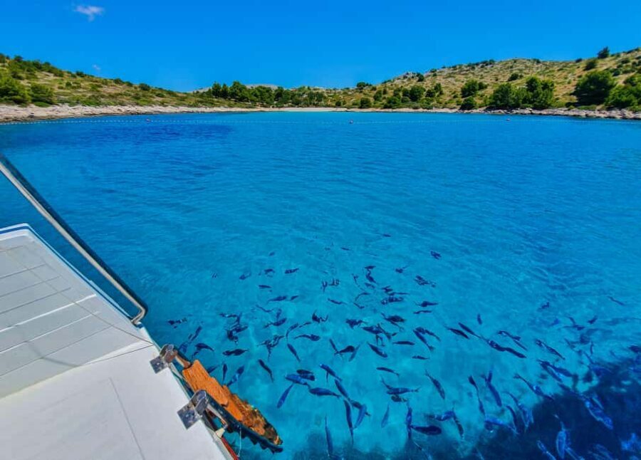 Mikado Kornati Excursion - Small-group size: why it changes the whole feel