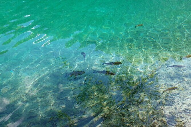 Plitvice Lakes Day Tour from Zadar, Simple and Safe - Morning Tour Schedule: 8:00 AM Start And A Full Block in Plitvice