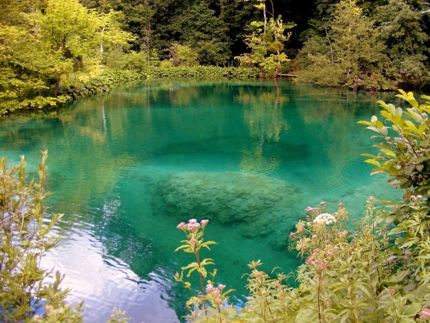 Plitvice Lakes National Park: Private Tour from Zadar - Key highlights worth planning for