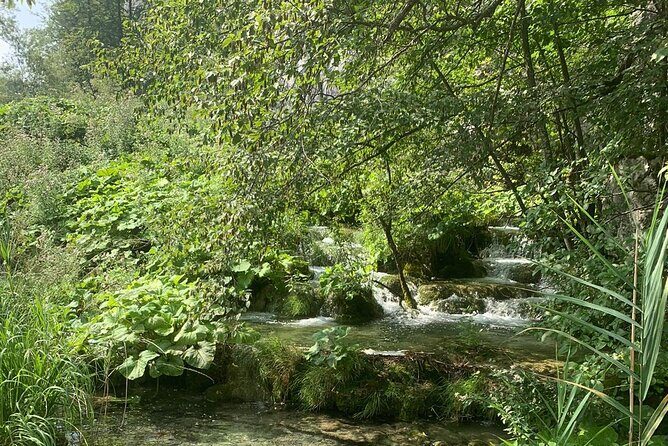 Plitvice Lakes simple and easy day trip from Zadar - Small group feel: up to 50, plus clear help from Dragan and Karlo
