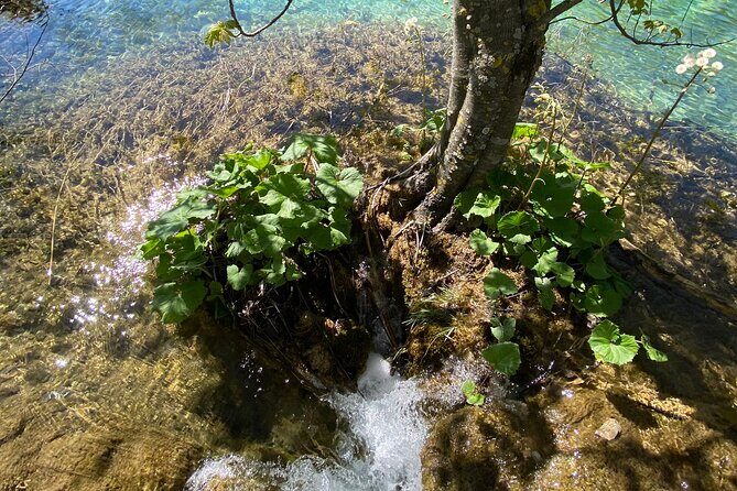 Plitvice private tour driver + guide up to 8 ppl from Zadar - The 2.5–3 Hours Walk: Lakes, Waterfalls, and Viewpoints