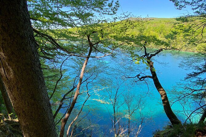 Plitvice private tour driver + guide up to 8 ppl from Zadar - Price and Value: Is $504.64 Worth It for Up to 8?