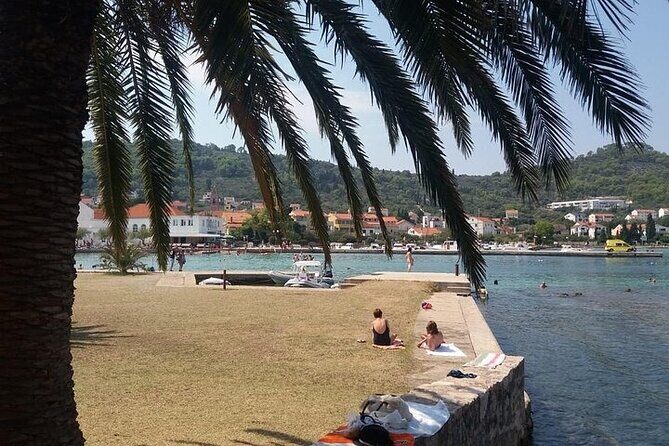Private Half-Day Boat Tour to nearby Islands in Zadar with Drinks - Who this tour is perfect for (and who should think twice)