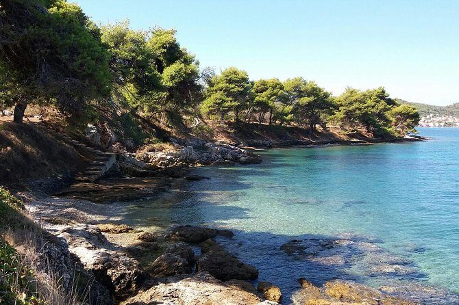 Private Half Day Speedboat tour to Zadar's Nearby Islands - Should you book this Zadar half-day speedboat?