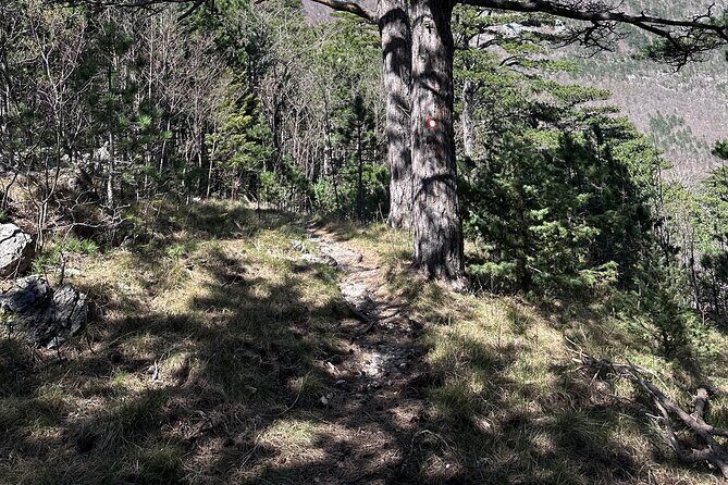 Private Paklenica Hiking Tour from Zadar up to 8 people - Timing Reality: How a 5–8 Hour Tour Actually Feels on the Trail