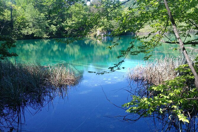 Private Roundtrip Transfer from Zadar to Krka National Park - Zadar Before or After: When the Day Can Flex