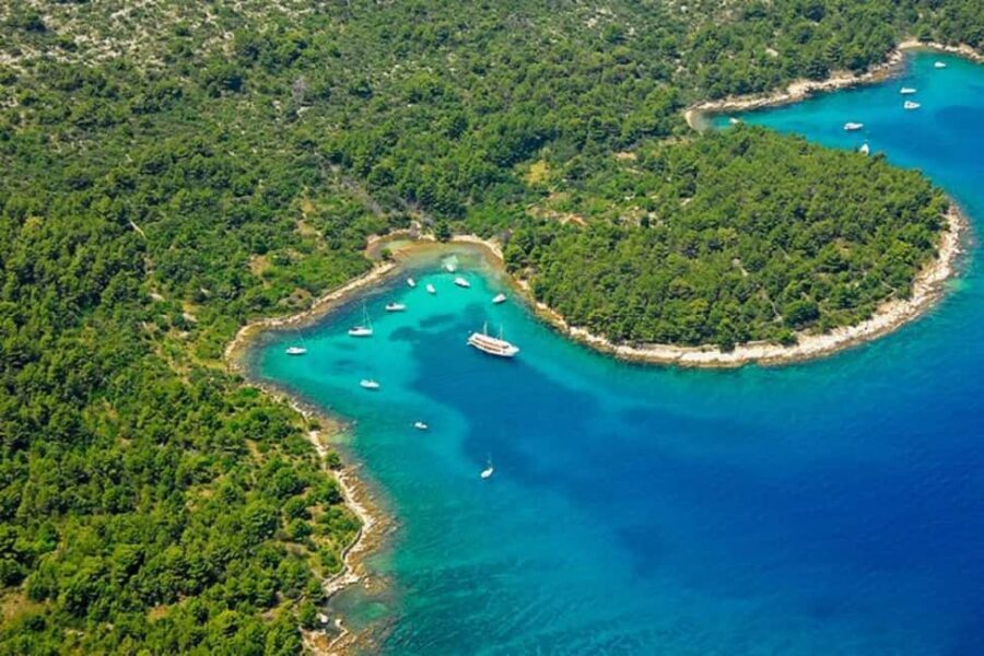 Private speedboat adventure to Zadar Islands with drinks - Where to meet at Obala kneza Branimira (and how to find the boat fast)