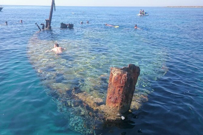 Private Speedboat tour "Hidden Gems of Dugi otok" - Wildlife spotting: how to get the best odds without stressing
