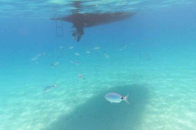 Private tour to Islands Ugljan, Ošljak and Preko from Zadar - Comfort and safety details that make the day easier
