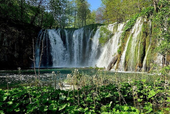Private Transfer from Zadar to Split with 2 hours for sightseeing - The Ride: Vehicle Options and What the Driver Really Does