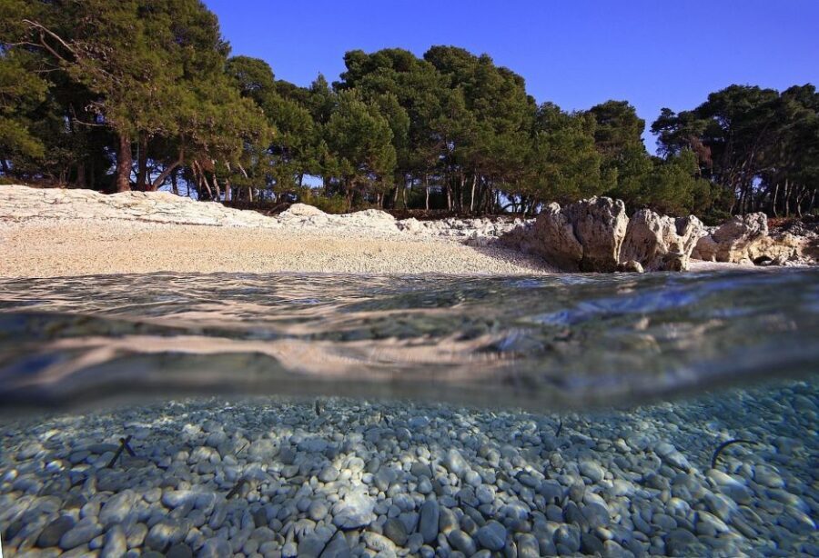 Sakarun Beach Full-Day Guided Tour from Zadar - What $68 gets you: value, water, and what to add yourself