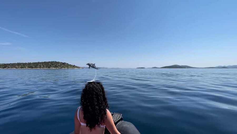 Zadar: 3-Island Speedboat Tour with Snorkeling and Drinks - Key points at a glance