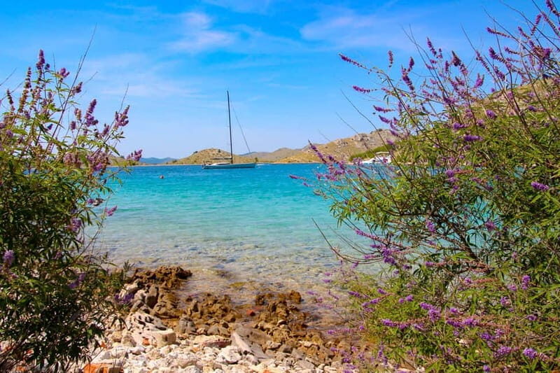 Zadar: 3-Stop Blue Lagoon & Snorkeling Cruise with Drinks - Onboard Vibes: Guides Like Roko, Music, and the Ease of a Small Group