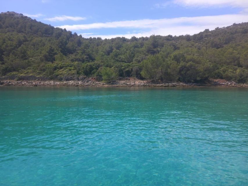 Zadar: Boat tour Half day -Private - Timing and what 5 hours means for your plan