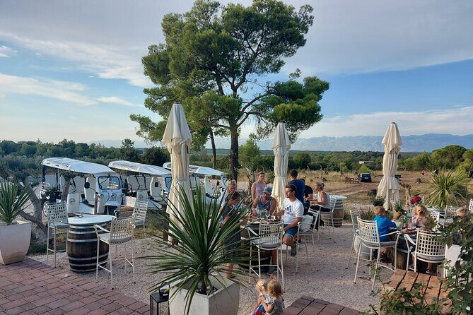 Zadar: City and Wine Tour in Zadar with Eco Tuk Tuk - Degarra Winery: the tasting stop is the payoff