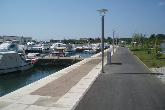 Zadar guided sightseeing bike tour - Church of St. Donat and the Forum Area: Classic Zadar in Short Order
