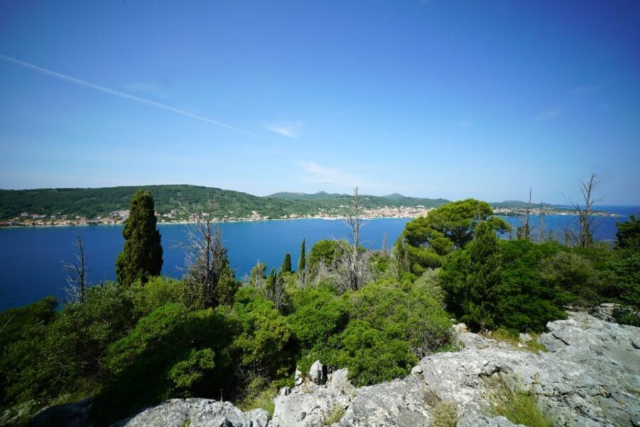 Zadar: Guided Tour to Ugljan, Osljak, & Galevac by Speedboat - The ride, the timing, and what 4 hours really means