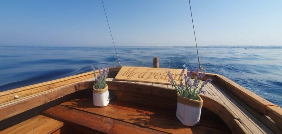 Zadar highlights - Zadar discovery Short tour - Key highlights you’ll care about
