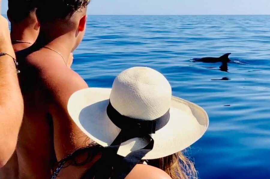 Zadar: Island-Hopping, Swimming & Snorkeling SpeedBoat Tour - Guide Energy: Clear Explanations With Weather-Savvy Choices