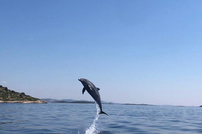 Zadar: Island Luxury Speedboat Tour with Snorkeling - What to Pack (So You Don’t Turn It Into a Shopping Trip)