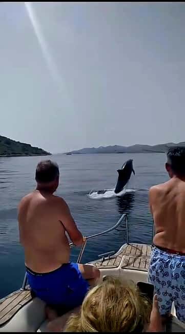 Zadar: Islands & Lagoons Tour with Drinks and ECO fruits... - Price and Logistics: What you pay up front, and what to budget