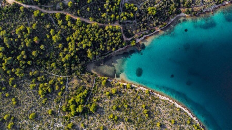 Zadar: Private Half Day Speedboat Tour - Ugljan swim and snorkel time: how to use it best