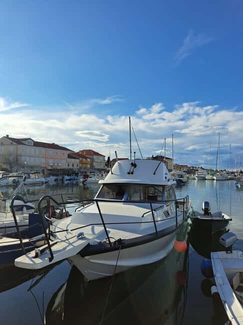 Zadar: Private Tour to Ugljan, Osljak and Galevac - half day - Stop 3: Ošljak island time with swimming and snorkeling
