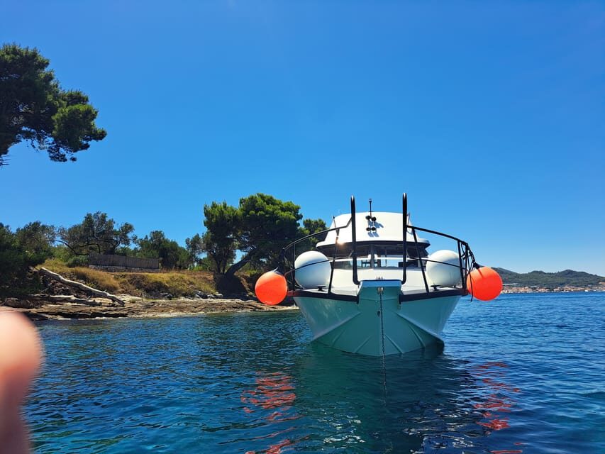 Zadar: Private Tour to Ugljan, Osljak and Galevac - half day - Price and value: what $64 per person buys you in real terms
