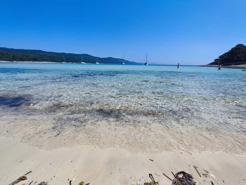Zadar: Sakarun Bay, Golubinka Cave & Veli Žal Speedboat Tour - The Lagnići shipwreck snorkel: what you’re likely to see