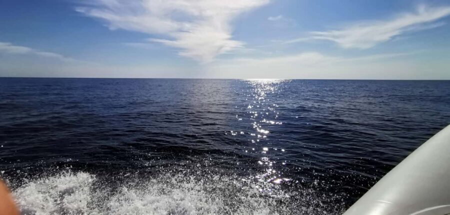 Zadar: Sakarun, Cave, Blue Lagoon, Dragon Eye & Snorkel Tour - Sakarun Beach: The Croatia Beach Moment (And Why It Matters)
