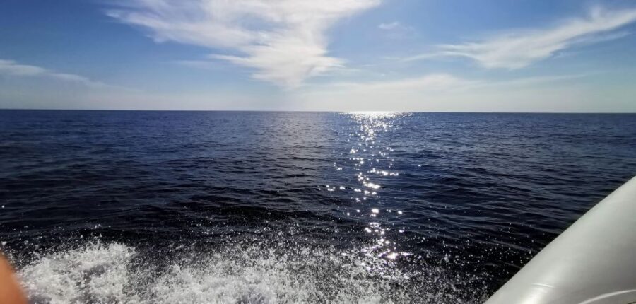 Zadar: Sakarun, Cave, Blue Lagoon, Dragon Eye & Snorkel Tour - Veli Rat Lighthouse: 42m Views Without a Long Trek