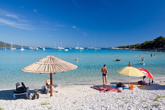 Zadar: Sakarun - Dugi otok Luxury Speedboat Tour with Lunch - Muline Bay as a Finale: Sandy Beach Time Under Pines