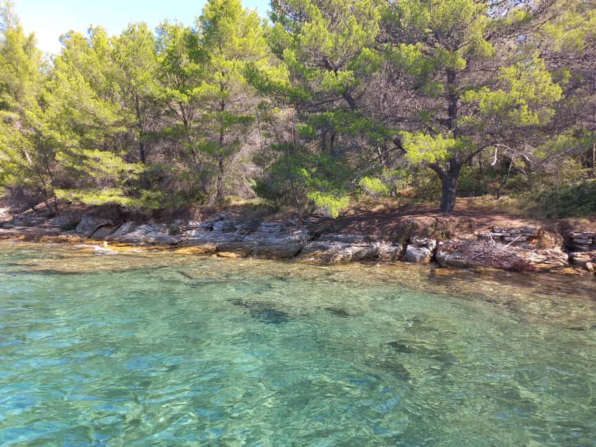 Zadar: Sea, Sun, and Wind Half-Day Sailing Adventure - The coastline you notice from water: villages, birds, and the slow look